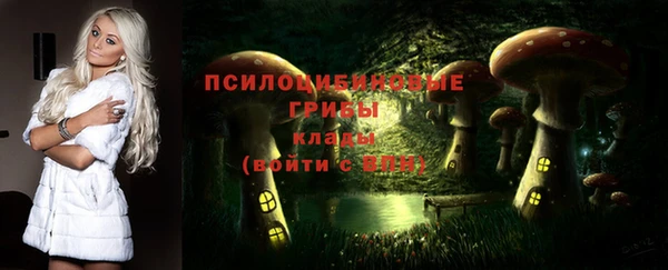 прущие крисы Мегион