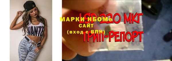 альфа пвп Медвежьегорск