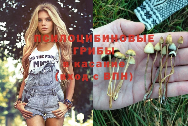 мдпв Майский