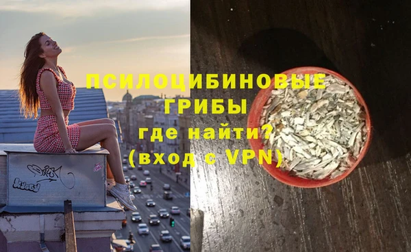 альфа пвп Медвежьегорск