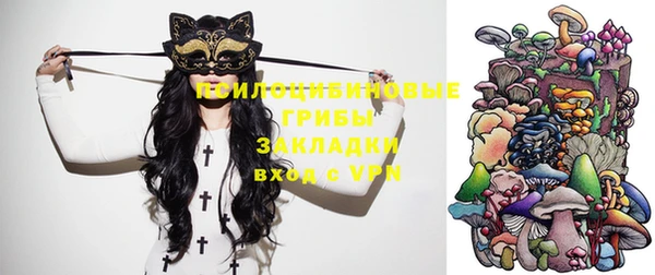 прущие крисы Мегион