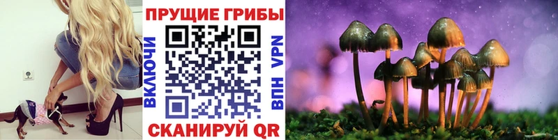 это наркотические препараты  Новомичуринск  Псилоцибиновые грибы мухоморы 